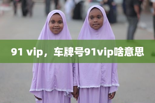 91 vip，车牌号91vip啥意思