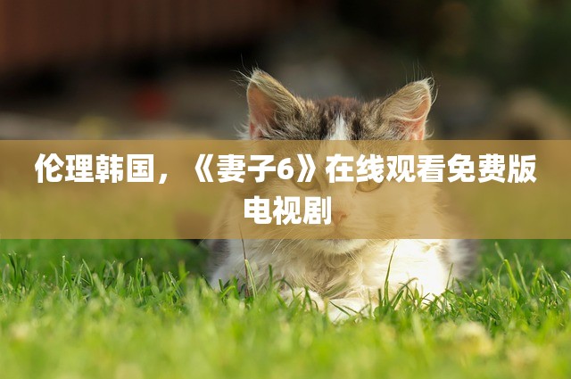 伦理韩国，《妻子6》在线观看免费版电视剧