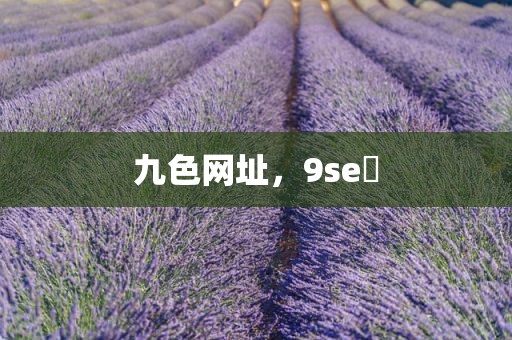 九色网址，9se 