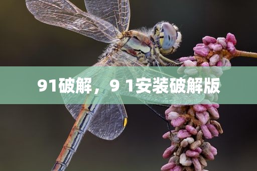 91破解，9 1安装破解版