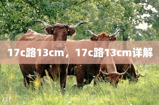 17c路13cm，17c路13cm详解