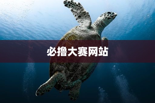 必撸大赛网站