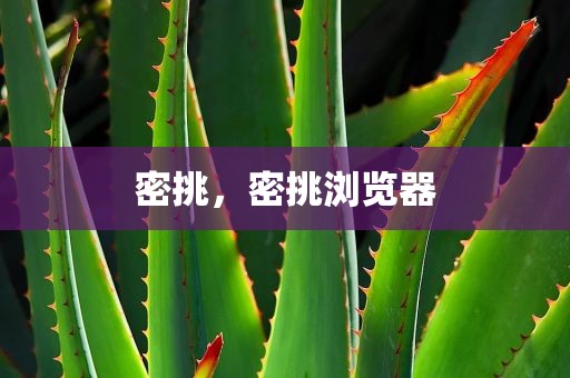 密挑，密挑浏览器