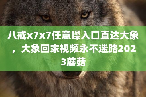 八戒x7x7任意噪入口直达大象，大象回家视频永不迷路2023蘑菇