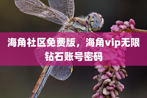 海角社区免费版，海角vip无限钻石账号密码