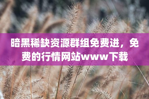 暗黑稀缺资源群组免费进，免费的行情网站www下载