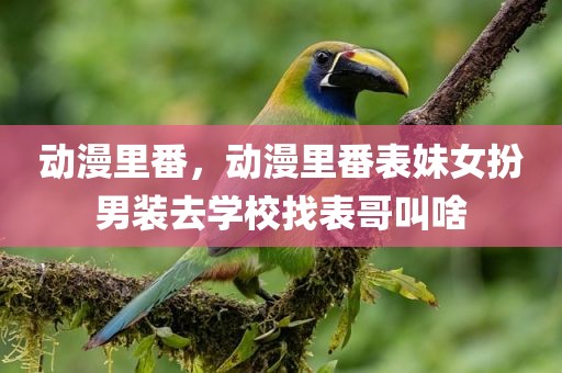动漫里番，动漫里番表妹女扮男装去学校找表哥叫啥