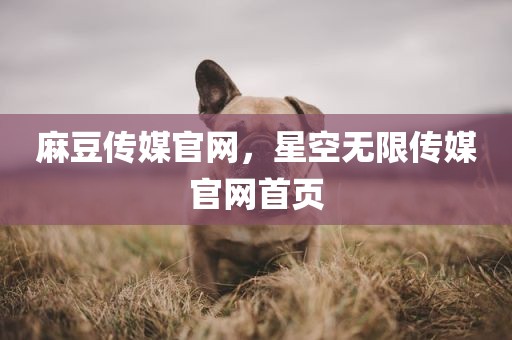 麻豆传媒官网，星空无限传媒官网首页