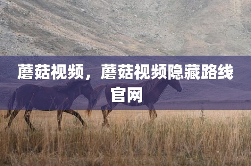蘑菇视频，蘑菇视频隐藏路线官网