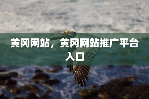 黄冈网站，黄冈网站推广平台入口