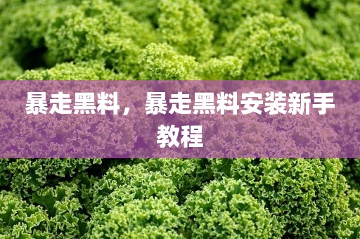 暴走黑料，暴走黑料安装新手教程