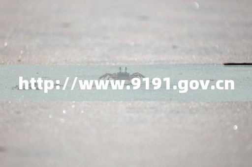http://www.9191.gov.cn