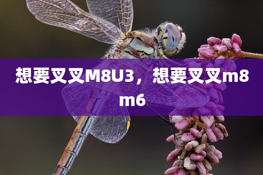 想要叉叉M8U3，想要叉叉m8m6