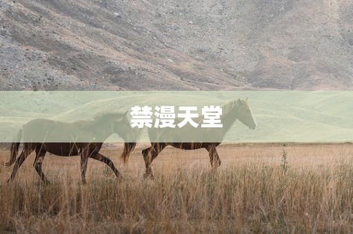 禁漫天堂