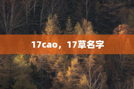 17cao，17草名字