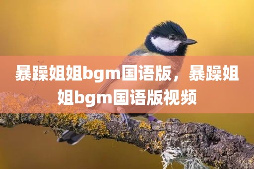 暴躁姐姐bgm国语版，暴躁姐姐bgm国语版视频