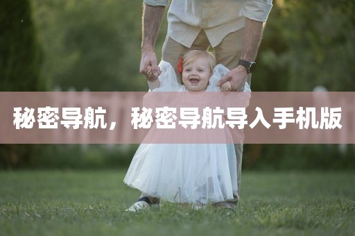 秘密导航，秘密导航导入手机版
