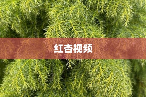 红杏视频