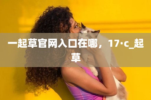 一起草官网入口在哪，17·c_起草