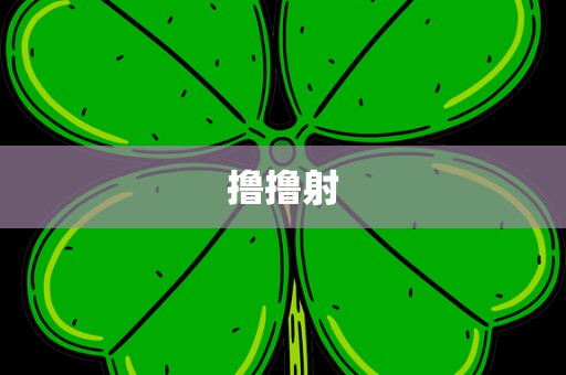 撸撸射