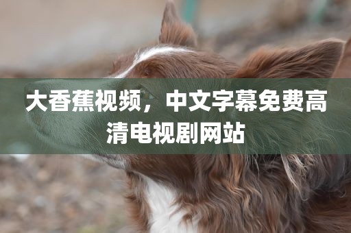 大香蕉视频，中文字幕免费高清电视剧网站