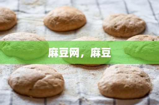 麻豆网，麻豆
