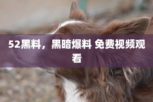 52黑料，黑暗爆料 免费视频观看