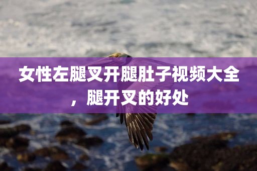女性左腿叉开腿肚子视频大全，腿开叉的好处