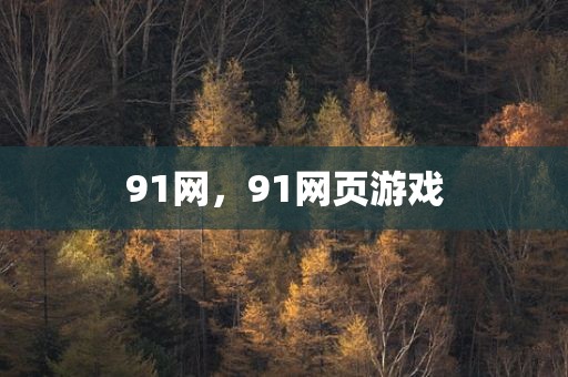 91网，91网页游戏