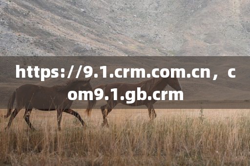 https://9.1.crm.com.cn，com9.1.gb.crm