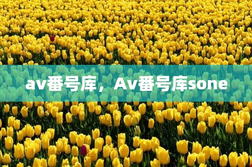 av番号库，Av番号库sone