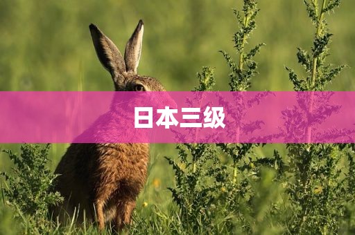 日本三级