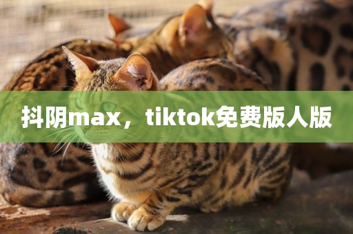 抖阴max，tiktok免费版人版