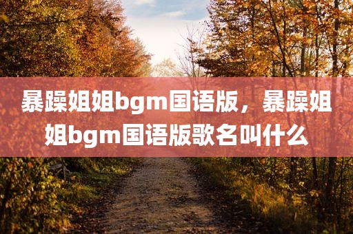 暴躁姐姐bgm国语版，暴躁姐姐bgm国语版歌名叫什么
