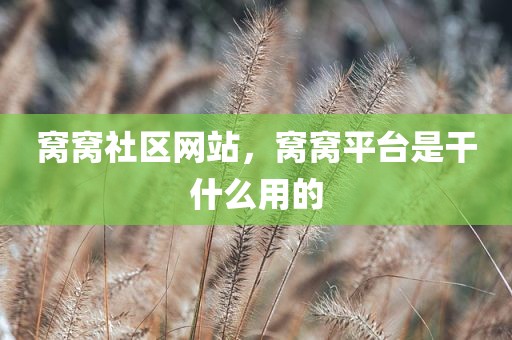 窝窝社区网站，窝窝平台是干什么用的