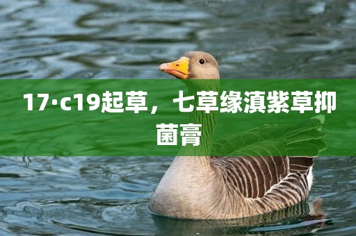 17·c19起草，七草缘滇紫草抑菌膏