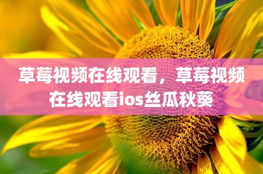 草莓视频在线观看，草莓视频在线观看ios丝瓜秋葵