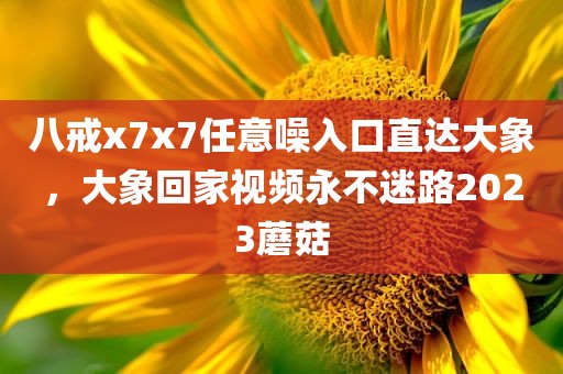 八戒x7x7任意噪入口直达大象，大象回家视频永不迷路2023蘑菇