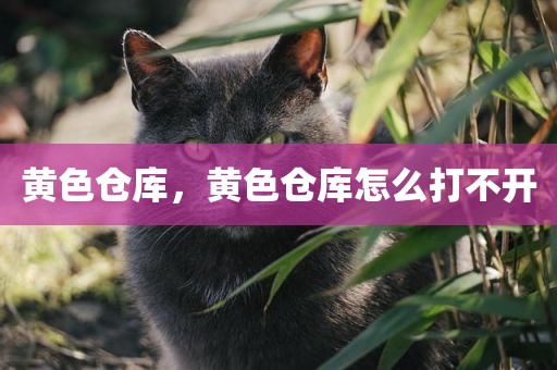 黄色仓库，黄色仓库怎么打不开