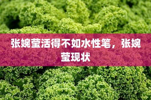 张婉莹活得不如水性笔，张婉莹现状