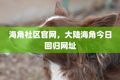 海角社区官网，大陆海角今日回归网址