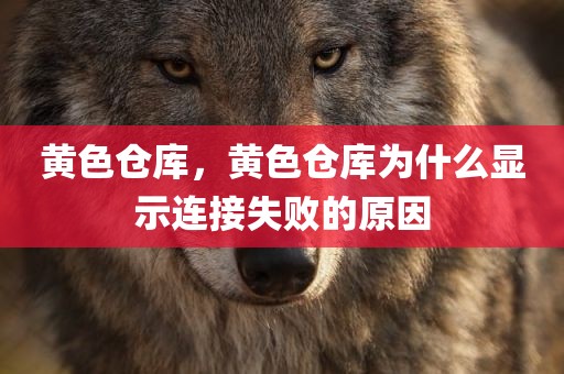 黄色仓库，黄色仓库为什么显示连接失败的原因