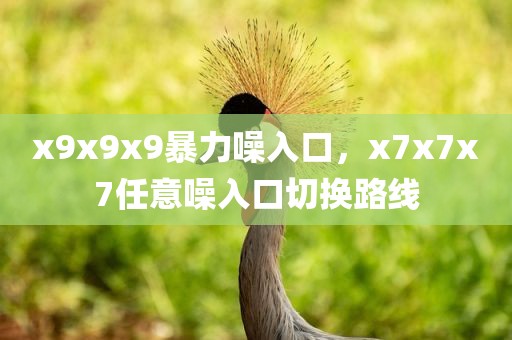 x9x9x9暴力噪入口，x7x7x7任意噪入口切换路线