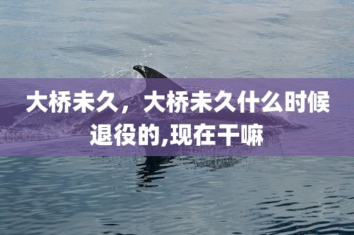 大桥未久，大桥未久什么时候退役的,现在干嘛