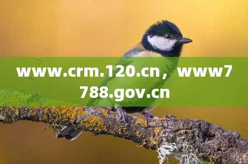 www.crm.120.cn，www7788.gov.cn