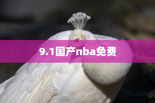 9.1国产nba免费