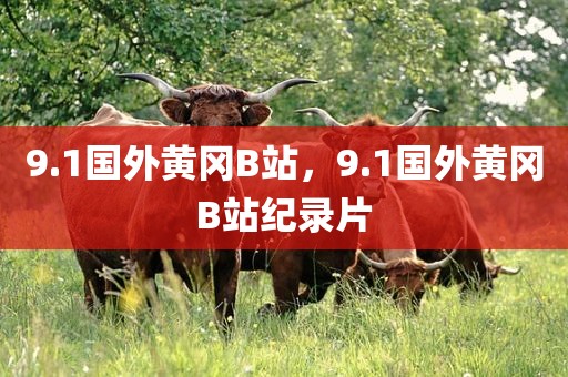 9.1国外黄冈B站，9.1国外黄冈B站纪录片