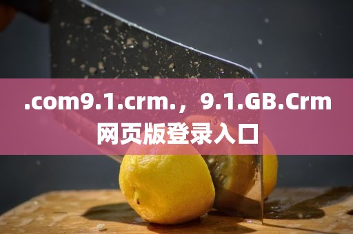 .com9.1.crm.，9.1.GB.Crm网页版登录入口