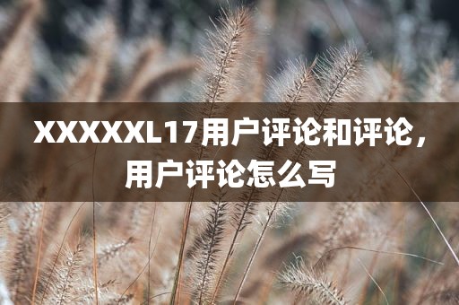 XXXXXL17用户评论和评论，用户评论怎么写