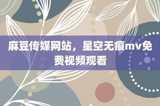 麻豆传媒网站，星空无痕mv免费视频观看